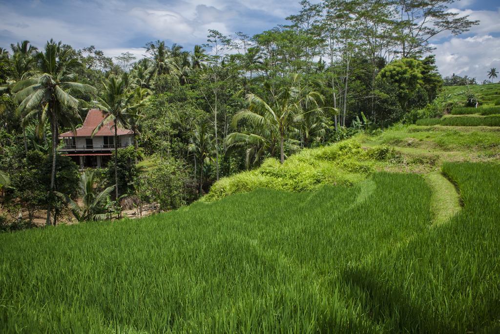 Be Bali Stay Ubud  Ngoại thất bức ảnh